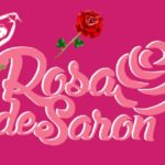 O que significa a Rosa de Saron?