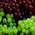 Como se originam as uvas sem sementes?