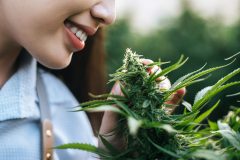 Portrait of Asian woman marijuana researcher checking marijuana cannabis plantation in cannabis farm, Business agricultural cannabis. Cannabis business and alternative medicine concept.