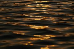 allec-gomes-wsdQhwq66Kc-unsplash-scaled