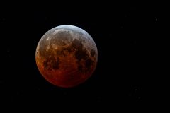 joseph-corl-wcv8cepOsAg-unsplash-scaled