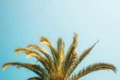 kevin-mueller-cLQSOLGkhSk-unsplash-scaled