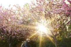 nikita-pishchugin-zYvIUnJVVGI-unsplash-scaled