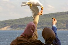 pexels-esmanur-m-280716932-13003306-scaled