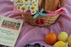 pexels-syd-trgt-335495720-16844777-scaled