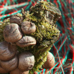 Saiba como transformar imagens normais em tridimensionais