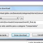 Aumente a velocidade dos seus downloads com o Internet Download Manager