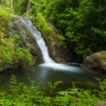 Falha humana fez parar buscas, diz Google