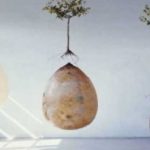 Forma como somos enterrados pode ser mudada