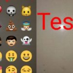 Atualização traz novidades para as fotografias tiradas no WhatsApp