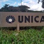 Unicamp Libera 16 Cursos Online Gratuitos