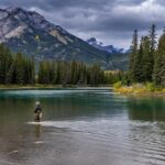 Parque Nacional de Fiordland: Um Tesouro Natural da Nova Zelândia